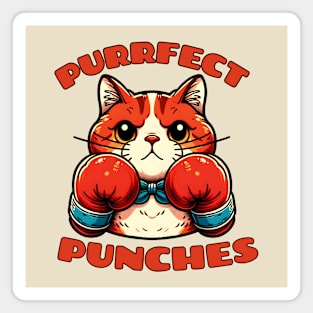 Kickboxing cat Magnet